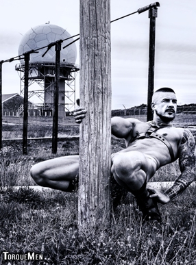 dolf dietrich, black and white, gay, porn, harness, leather, muscle, portrait